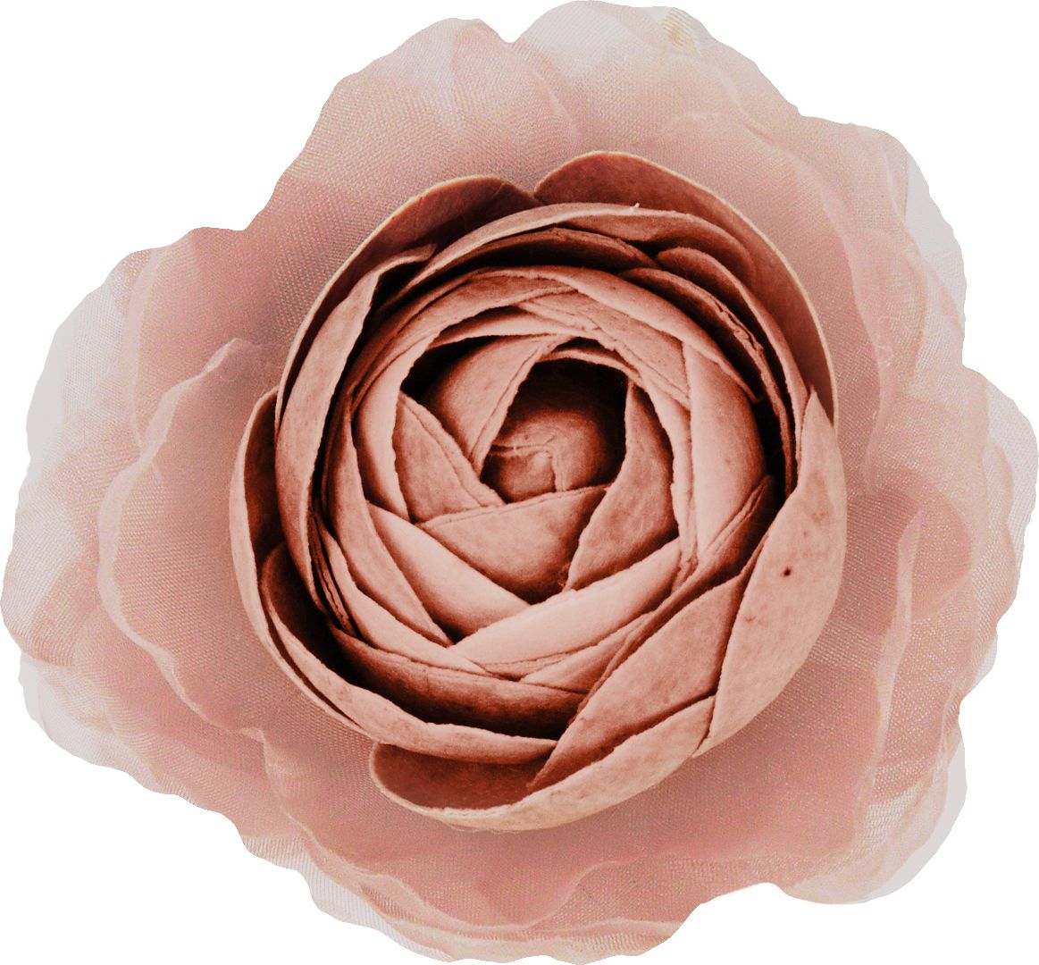 Fiore Malva Medio Mami Milano Mami Milano