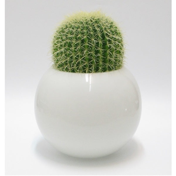 Vaso Sfera Bianca Con Cactus Edg