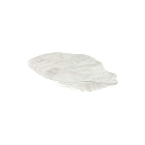 Ciotola Oyster Hervit