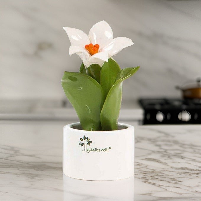 Piantina Natura Mignon Giglio Gli Alberelli