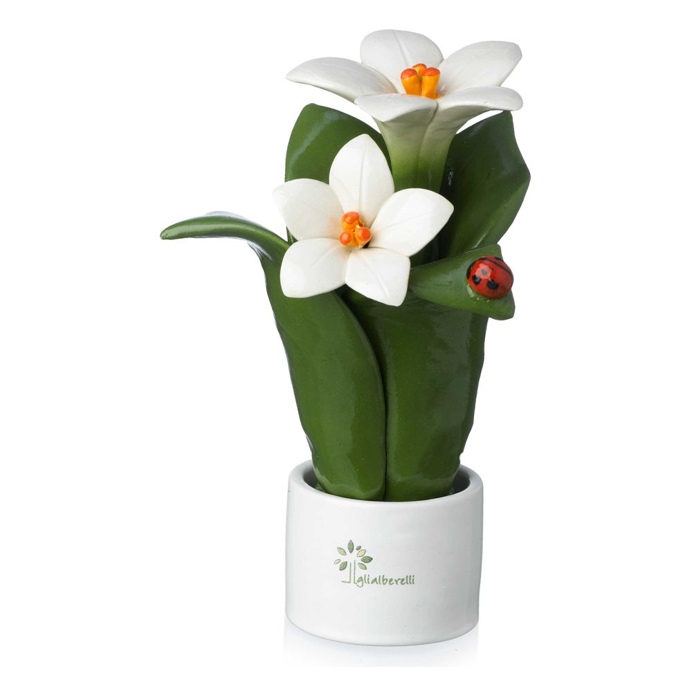 Pianta Natura 2 Fiori Giglio Gli Alberelli Gli Alberelli