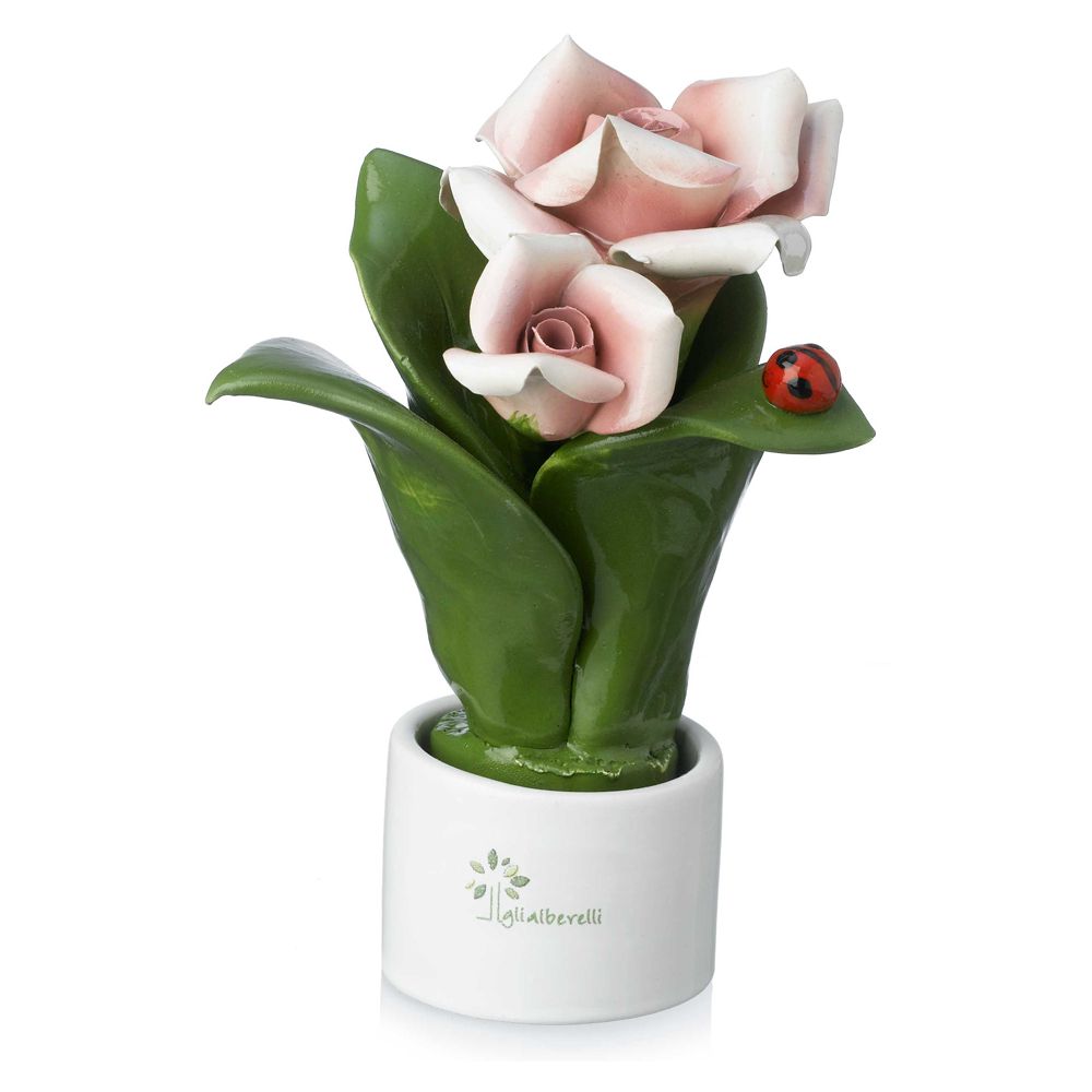 Pianta Natura 2 Fiori Rosa Gli Alberelli Gli Alberelli