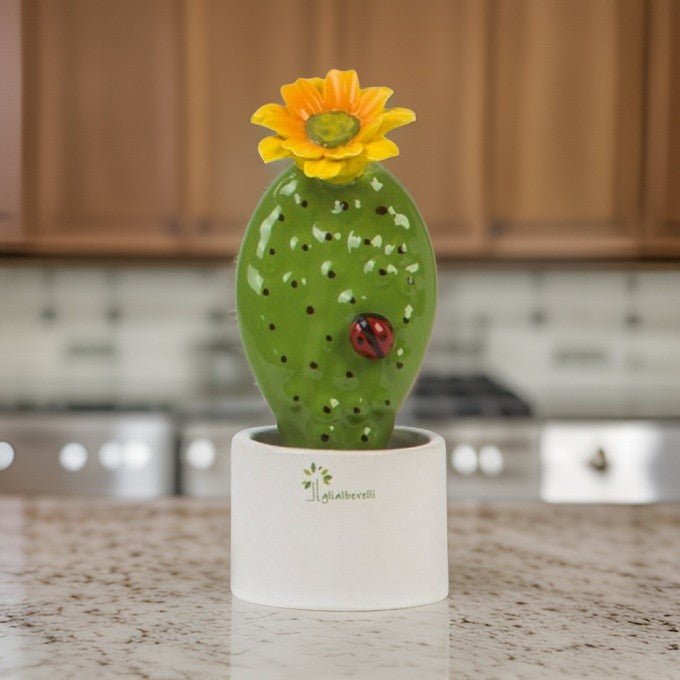 Piantina Natura Mignon Fico Gli Alberelli