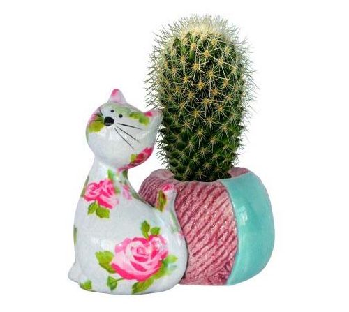 Vaso Gatto Caramel Small Con Rose Pomme Pidou Pomme Pidou