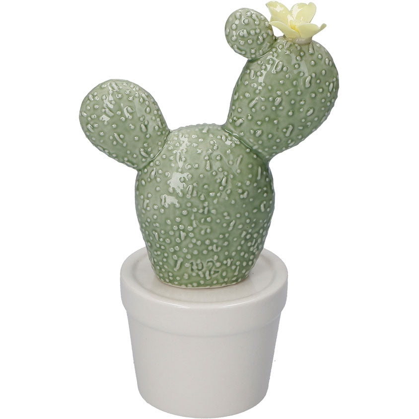 Pungiamo Cactus Grande C Rituali Domestici Rituali  Domestici