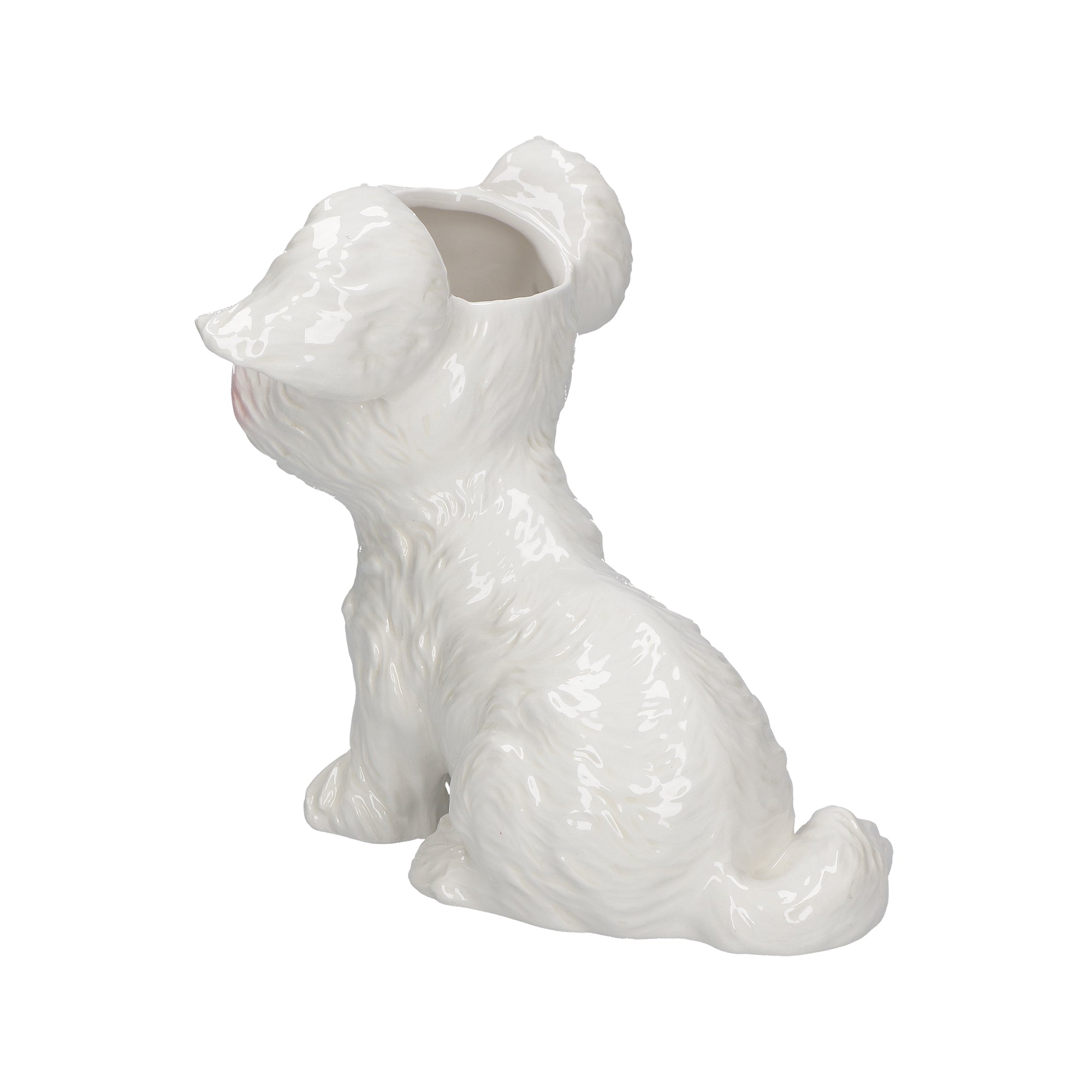 Animalando Cachepot Ping In Ceramica Rituali Domestici Rituali  Domestici