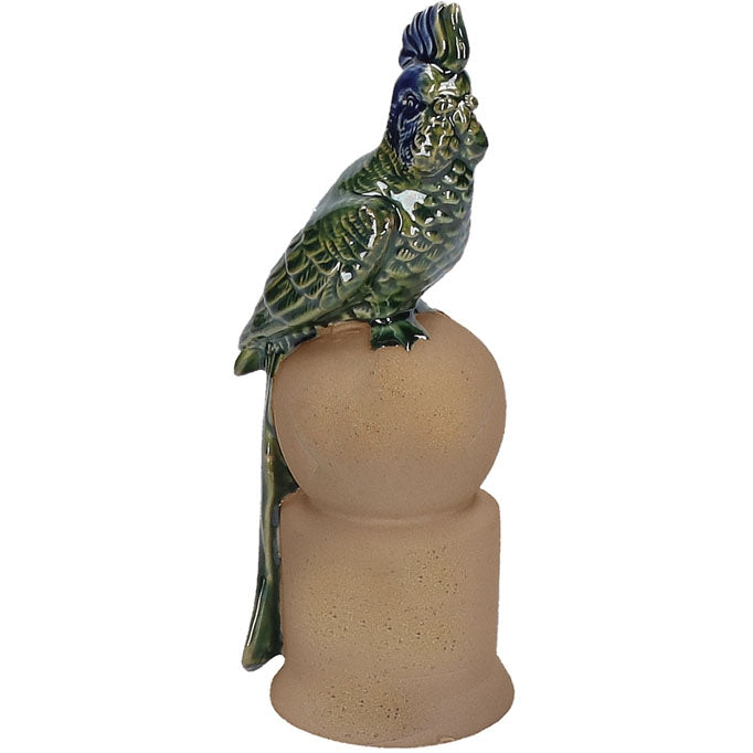 Arizona Pappagallo E Rituali Domestici Rituali  Domestici