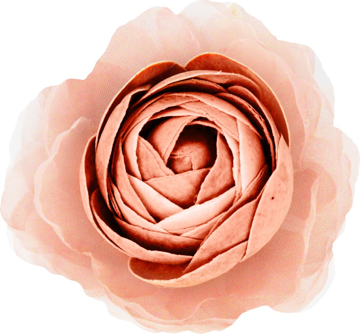 Fiore Rosa Medio Mami Milano Mami Milano