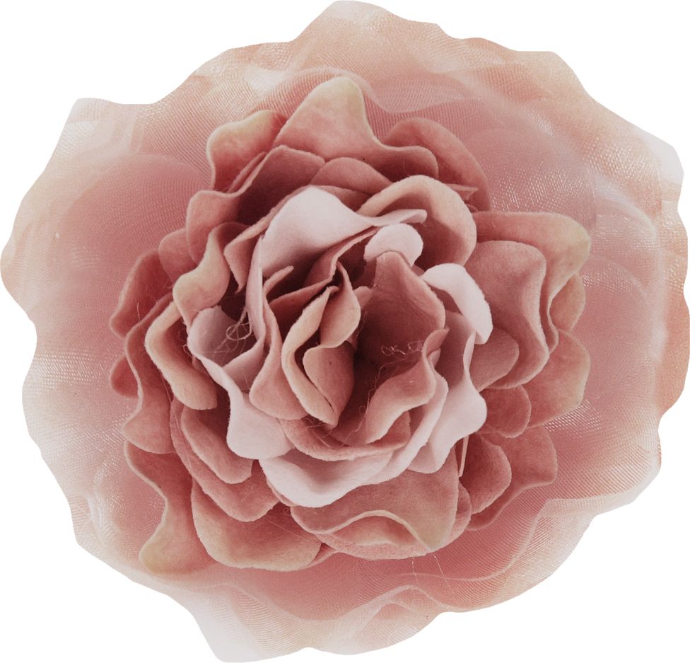 Fiore Malva Piccolo Mami Milano Mami Milano
