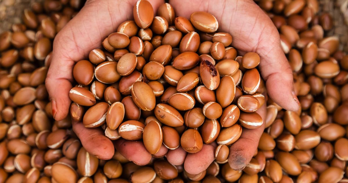 Perle Profumatore Cassetti - Argan Mami Milano Mami Milano