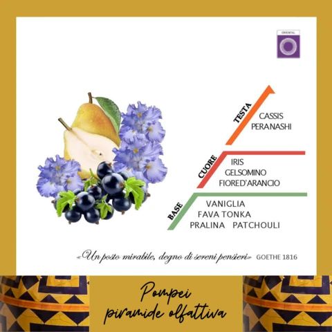 Sapone Liquido Pompei 500 Ml Rudy Profumi