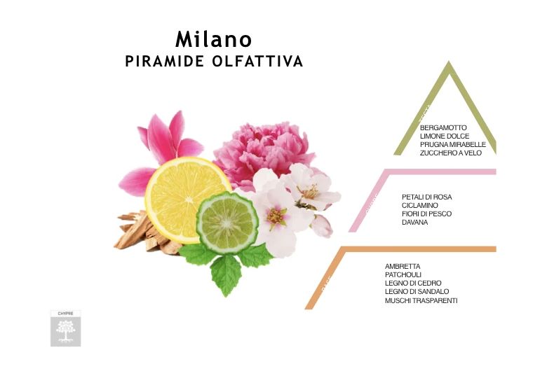 Sapone Liquido Milano 500 Ml Rudy Profumi