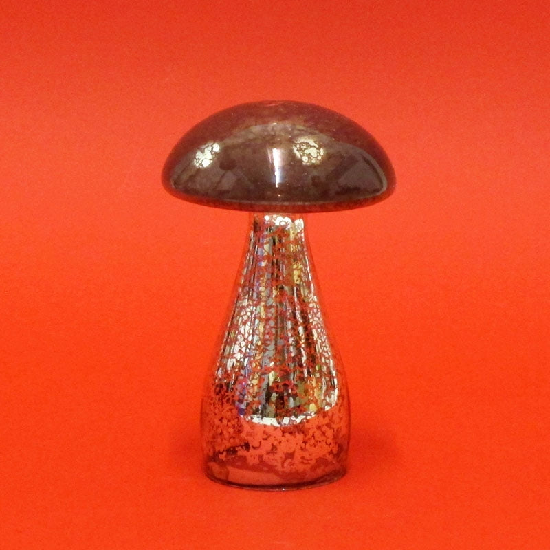 L`Oca Nera - Fungo Piccolo Marrone Cm 13 L'oca Nera