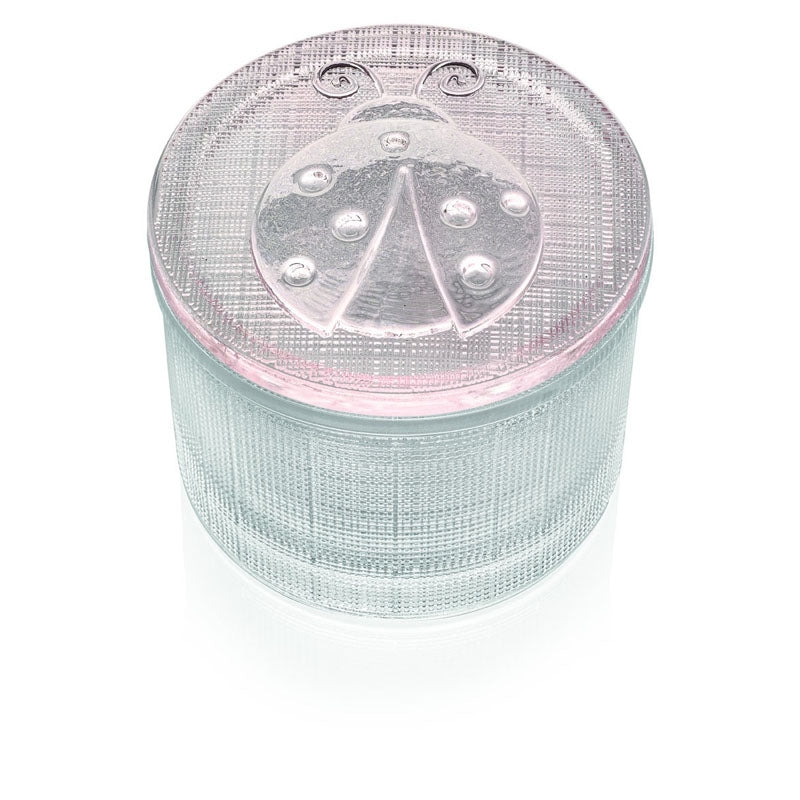 Segreti Scatolina Trasparente Con Coperchio Coccin Ivv