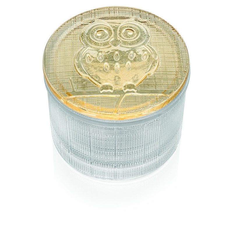 Segreti Scatolina Trasparente Con Coperchio Gufo Ivv