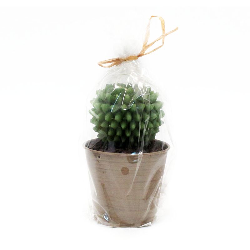 Candela Cactus C/Vaso Edg