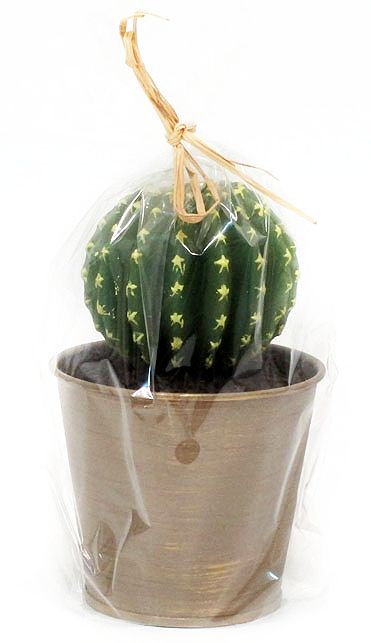 Candela Cactus C/Vaso Giallo/Verde Edg