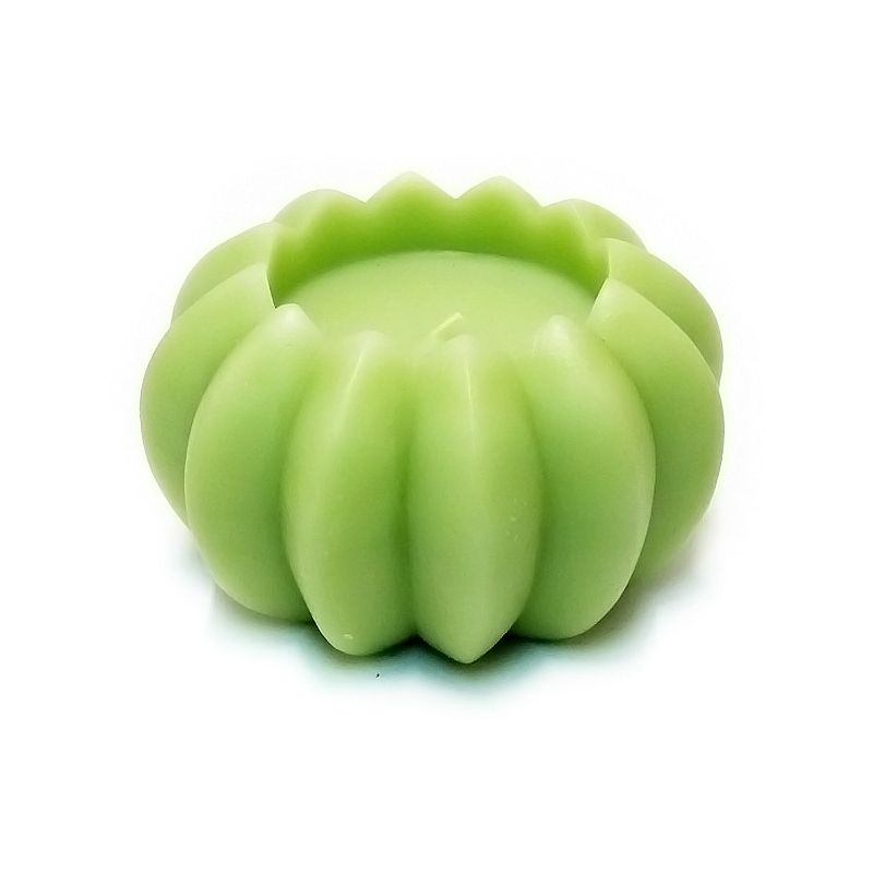 Candela Zucca Verde Edg
