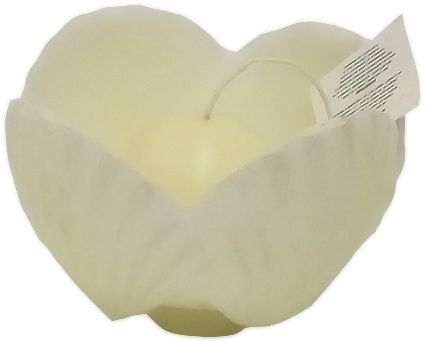 Candela Conchiglie Avorio Edg
