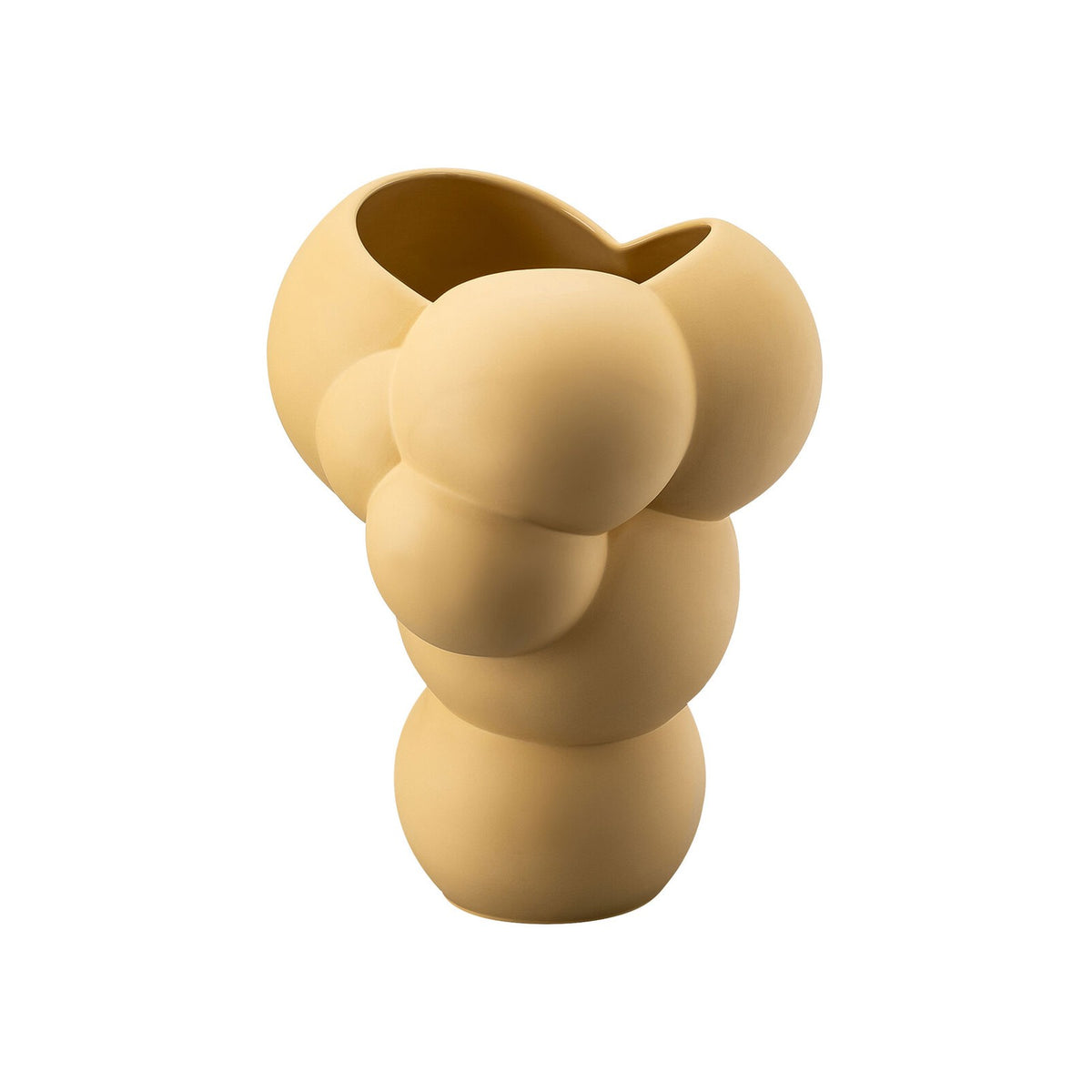 Skum Fossil Vaso Rosenthal