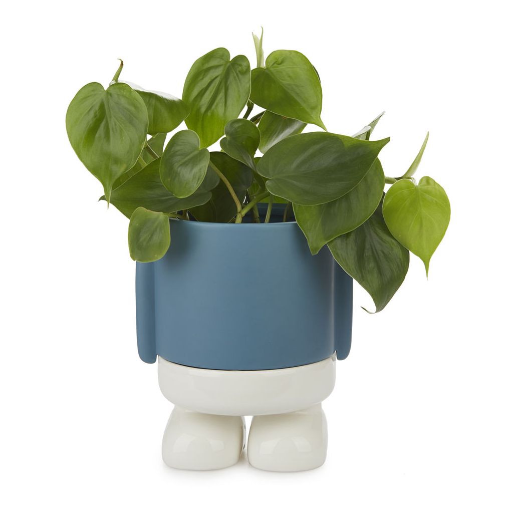 Vaso Da Fiori Mr.Standy Azzurro Ceramica Balvi Balvi