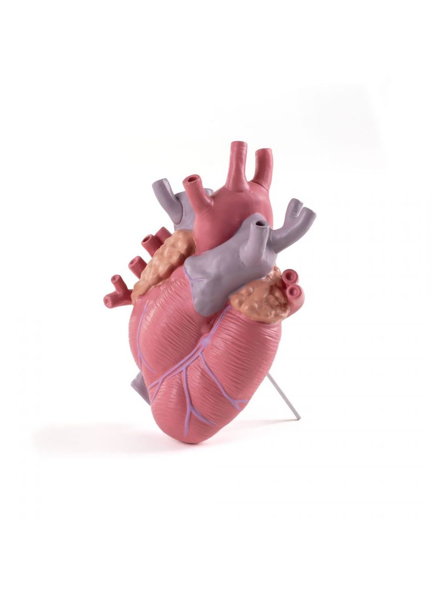 Vaso In Porcellana Love In Bloom Color Seletti