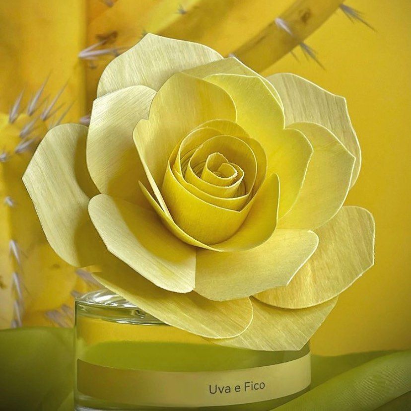 Rosa Bordeaux 50Ml Melograno Muha