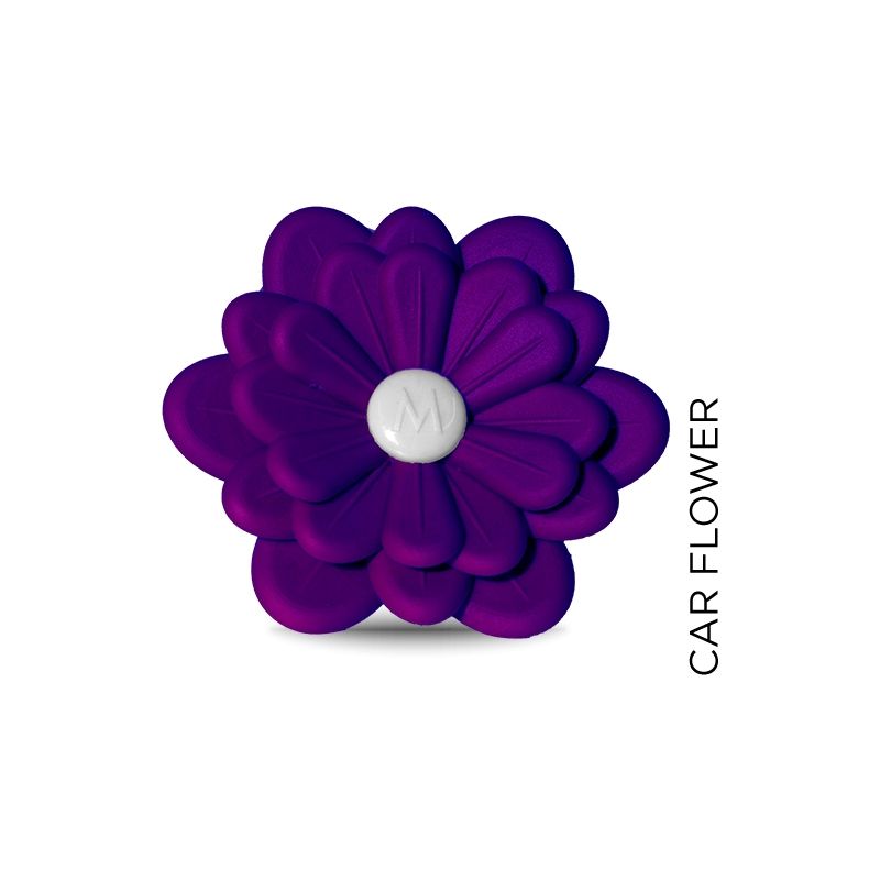 Car Flower Viola-Melograno  Muha