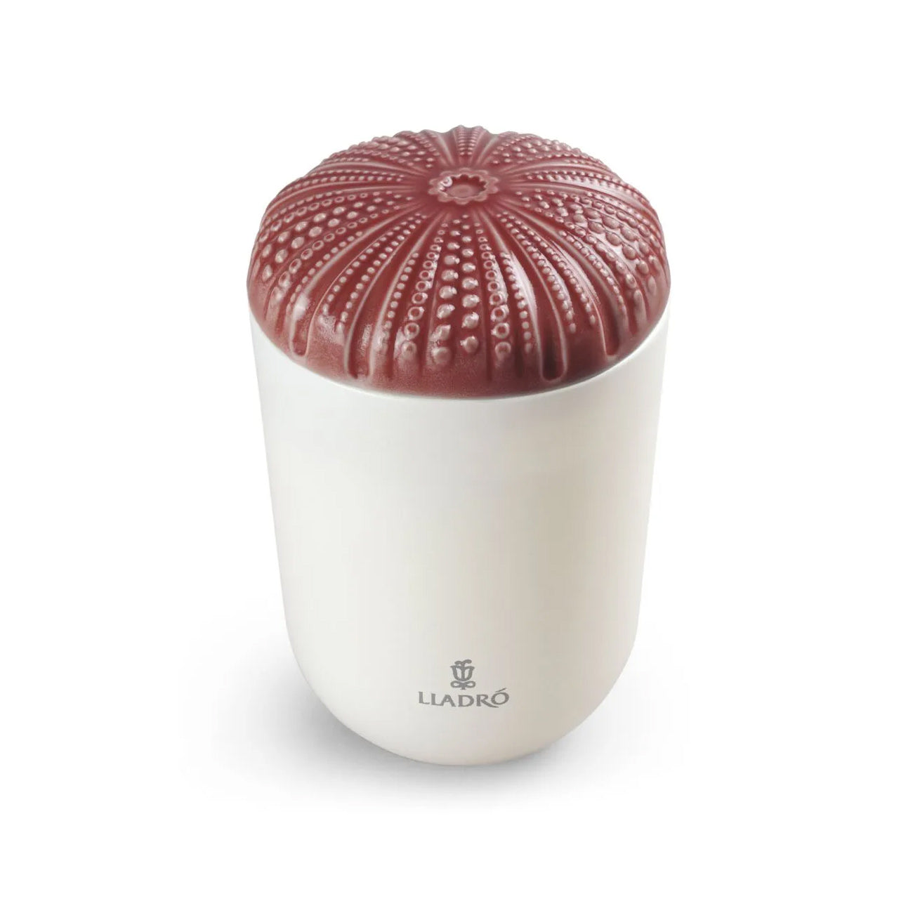 Candela Echoes of Nature. Mediterranean Beach Lladro'