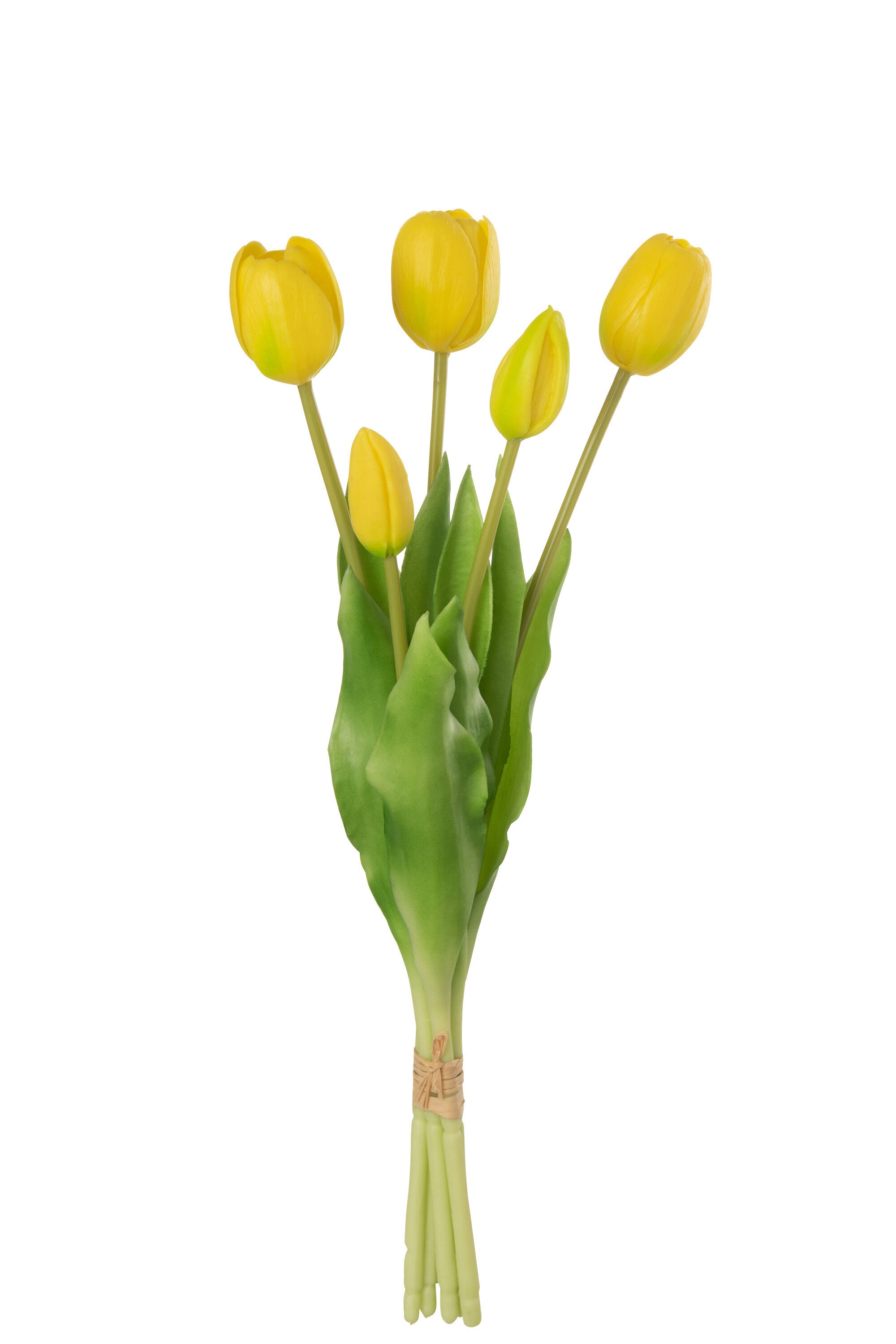 Mazzo Tulipani Jolipa