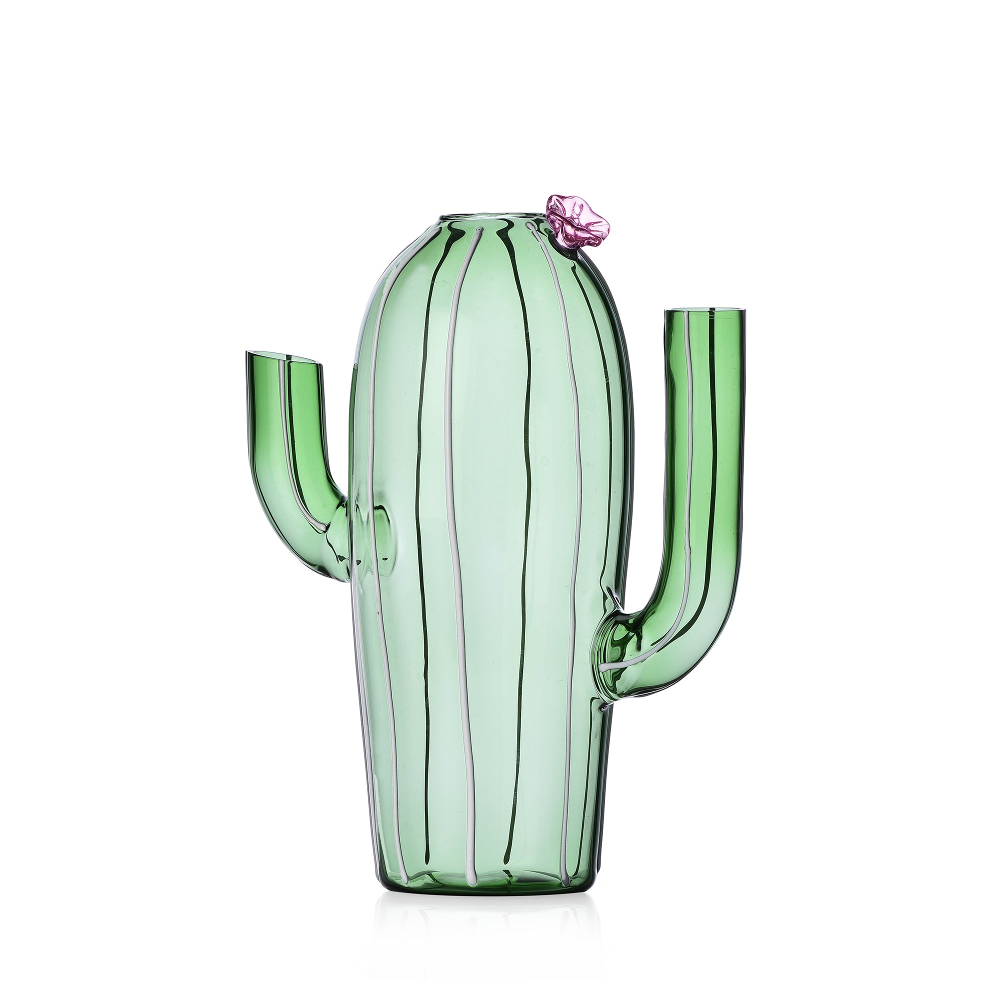 Brocca cactus verde fiore rosa Ichendorf