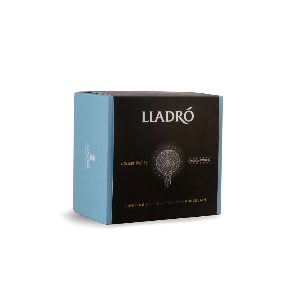 Lampadina piume Lladro'