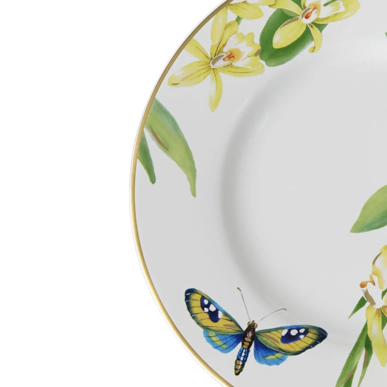 Amazonia Set 6 Piatti da dessert/ colazione Villeroy E Boch