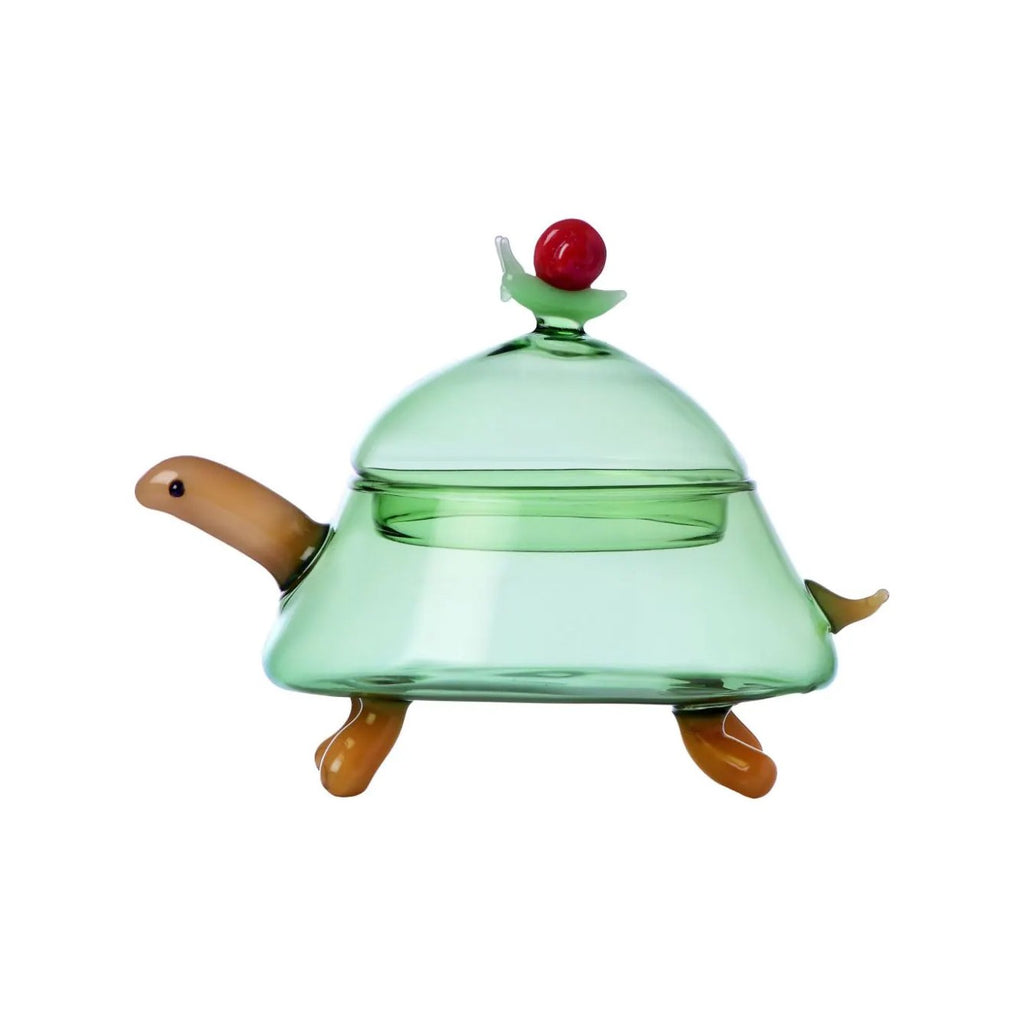 Scatola tartaruga Ichendorf