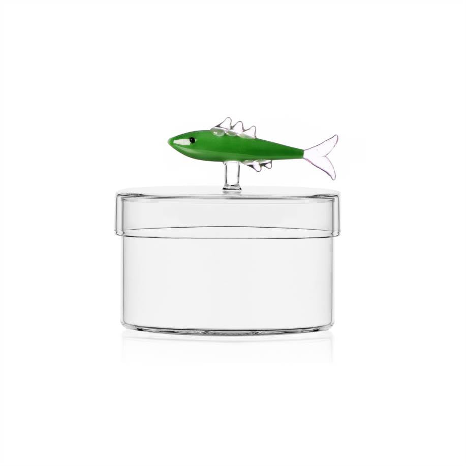 Scatola sardina verde Ichendorf
