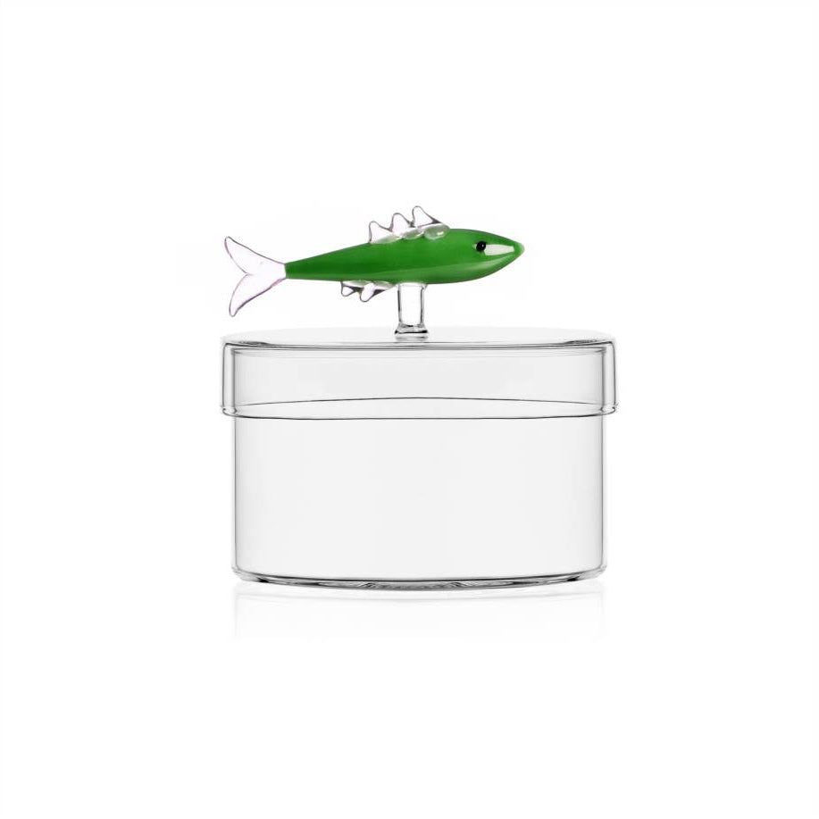 Scatola sardina verde Ichendorf