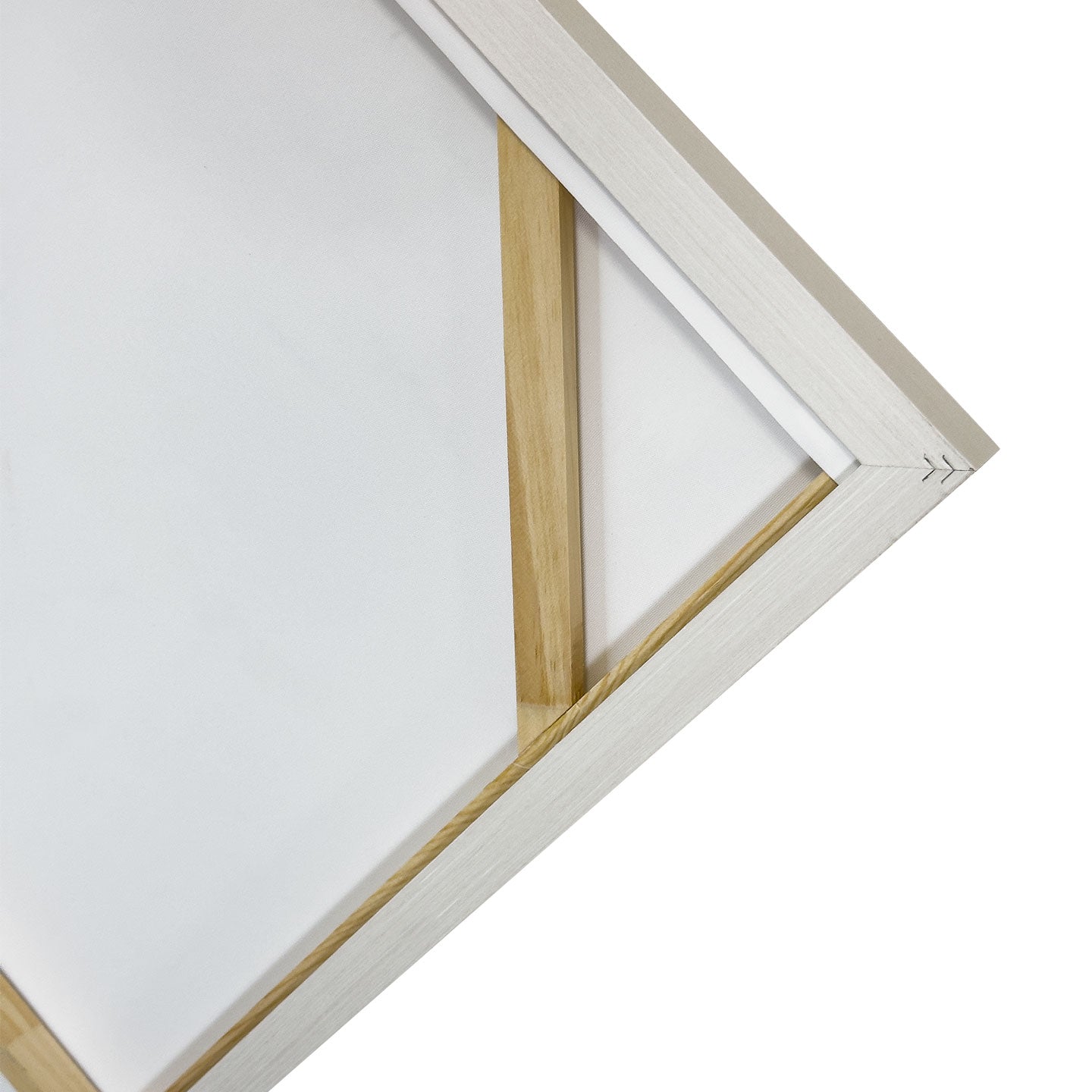 Quadro Focus 100X100 Cm Agave Quadri