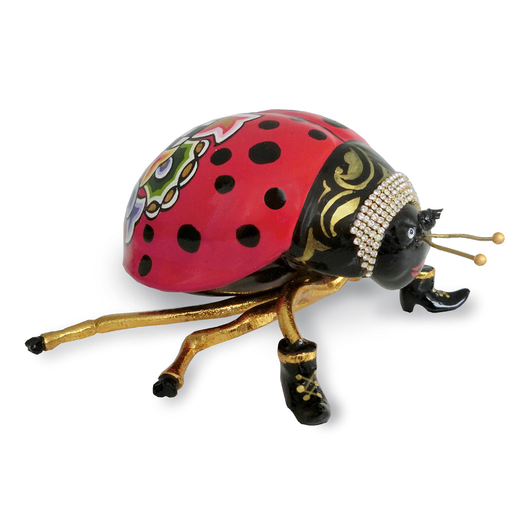 Coccinella "Lady" M Tom`s Drag