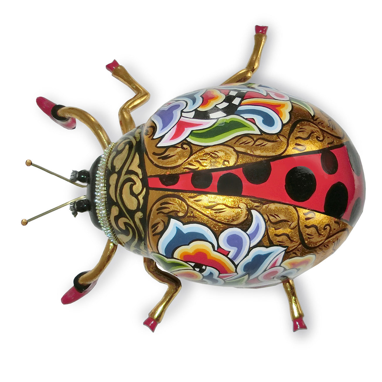 Coccinella "Lady" L Tom`s Drag