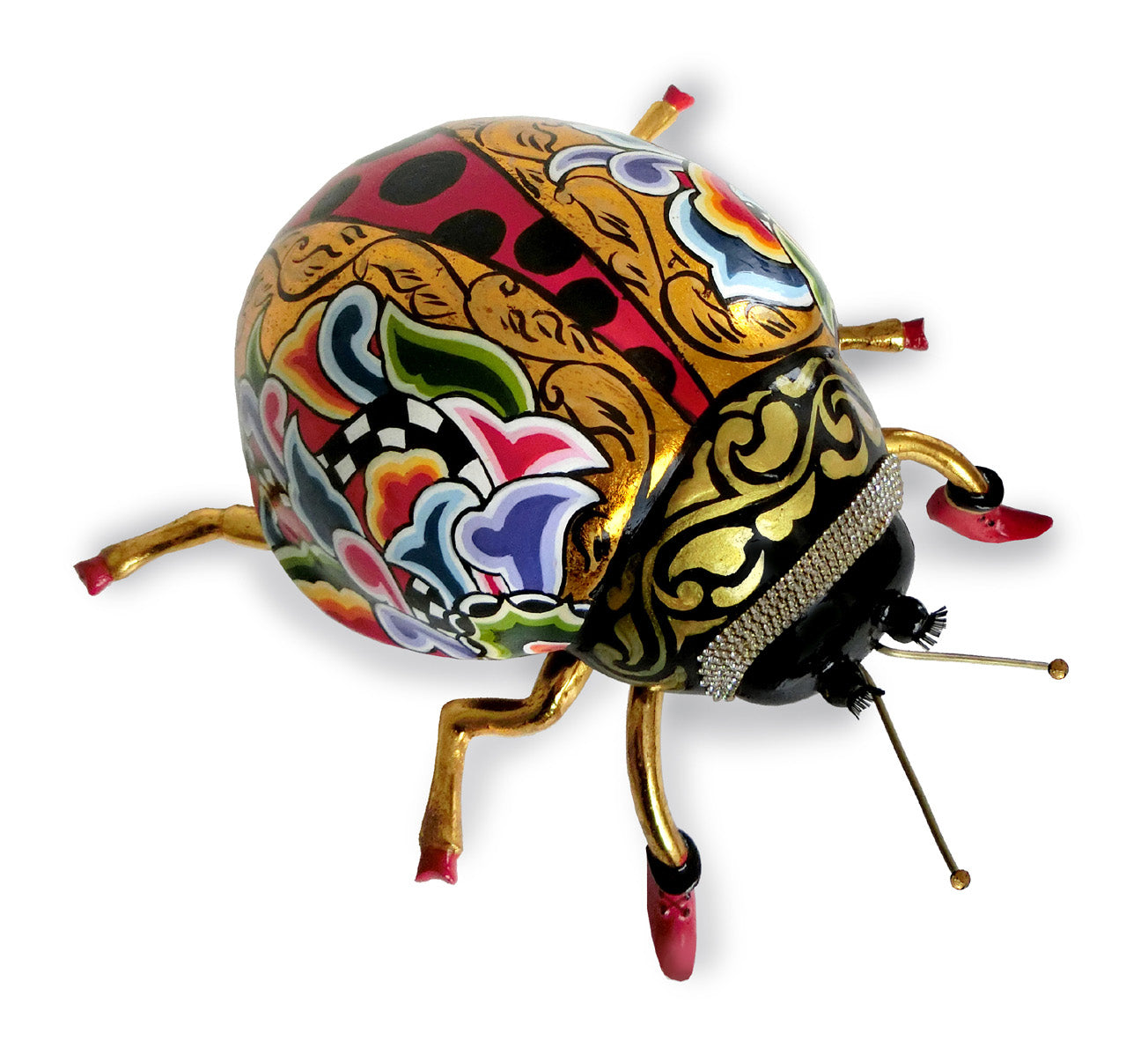 Coccinella "Lady" L Tom`s Drag