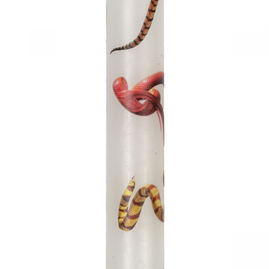Set 2Pz Candela A Stelo Toiletpaper Snakes White  Seletti