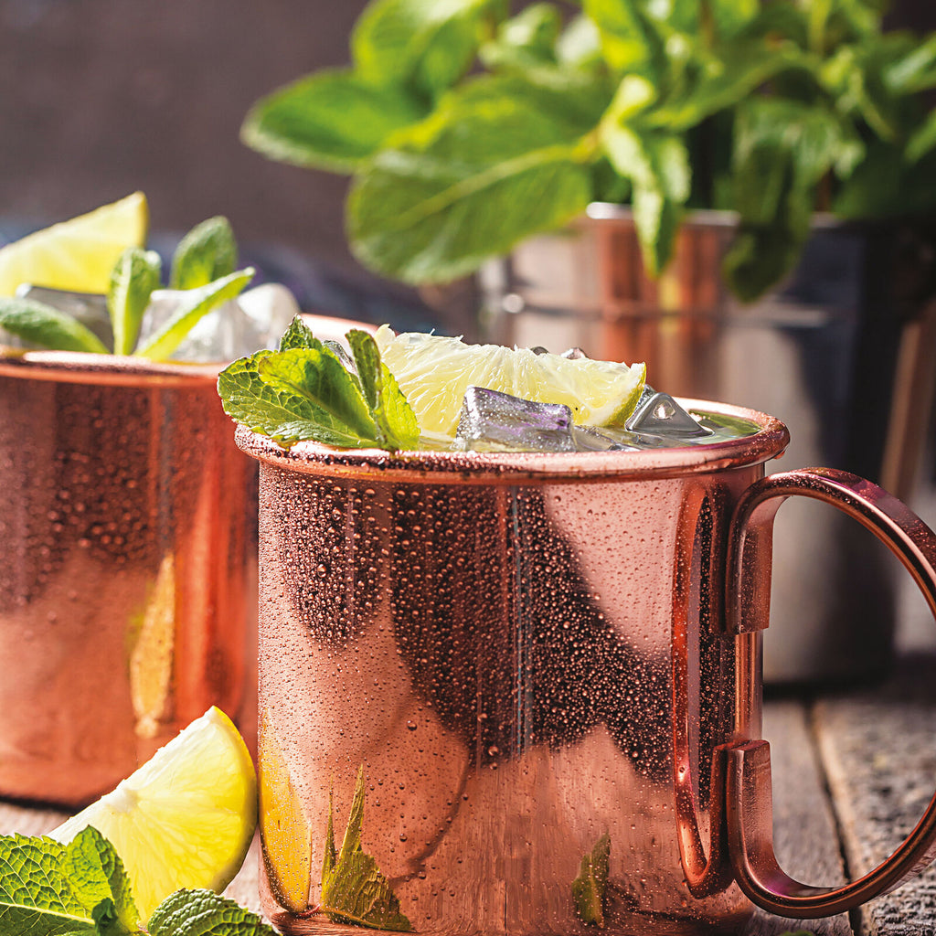Set 2 Tazze moscow mule Paderno