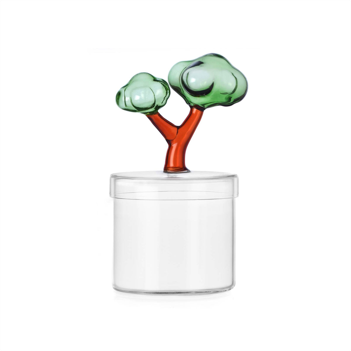 Talking Trees Scatola Ichendorf