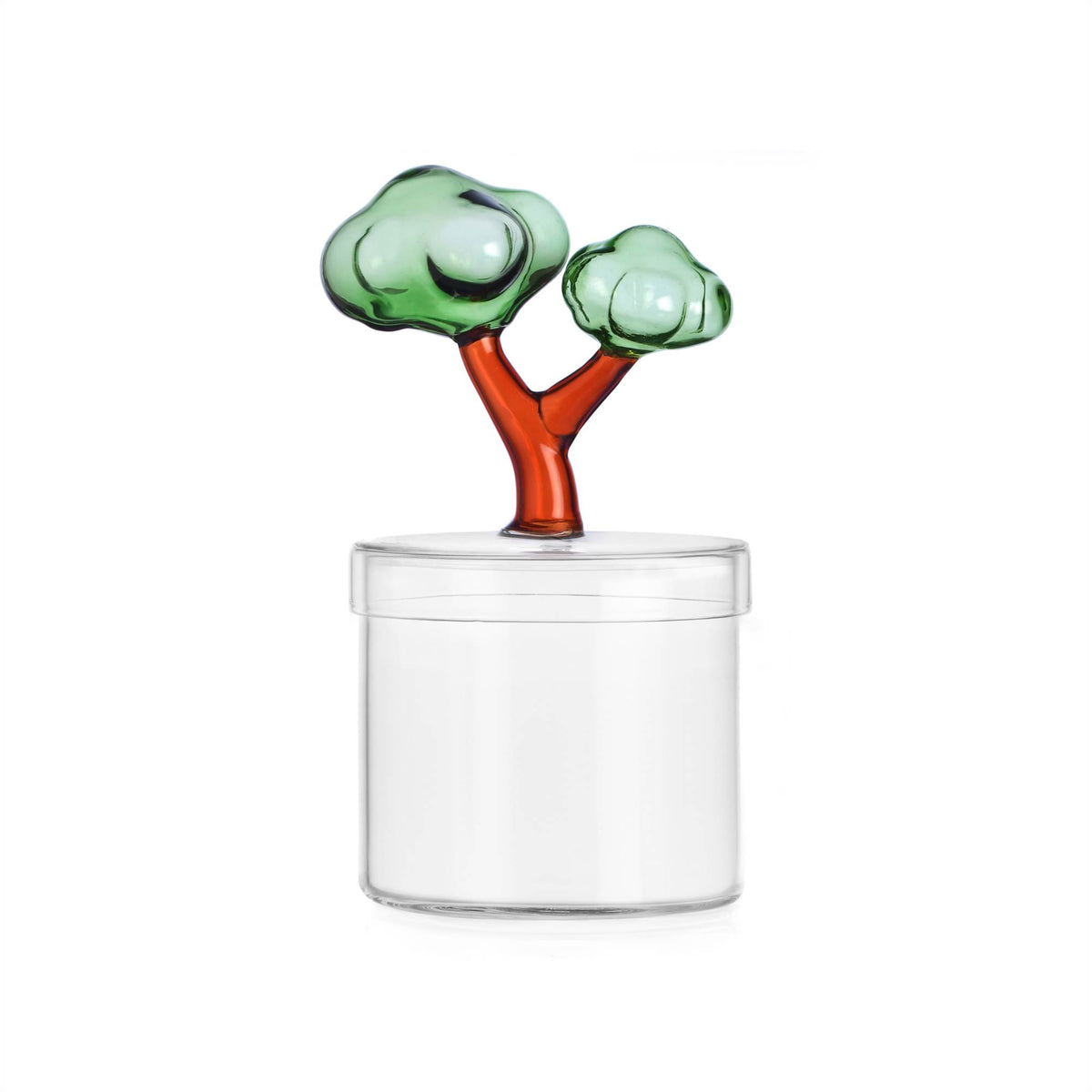 Talking Trees Scatola Ichendorf