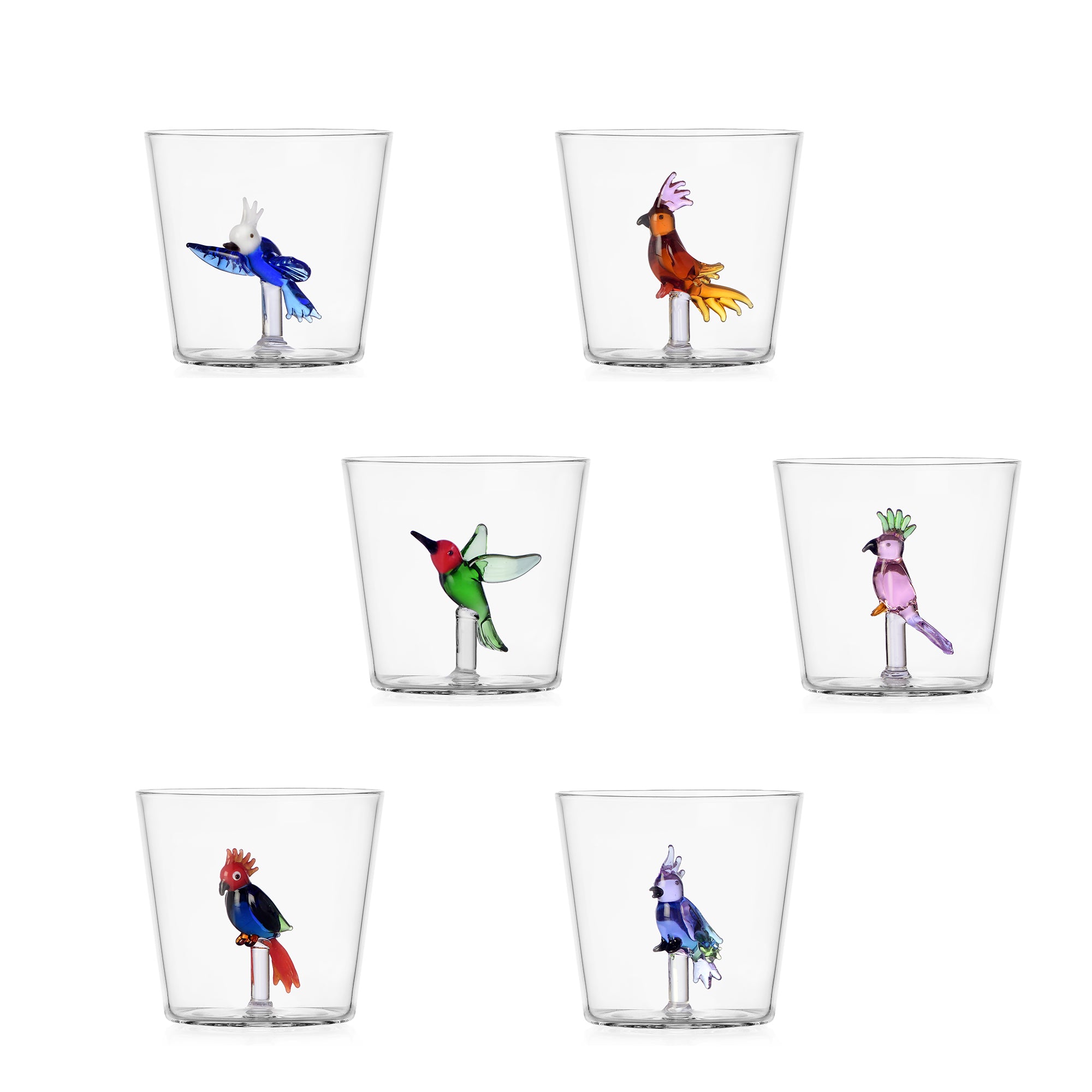 Set 6 TumblerTalking Trees Ichendorf