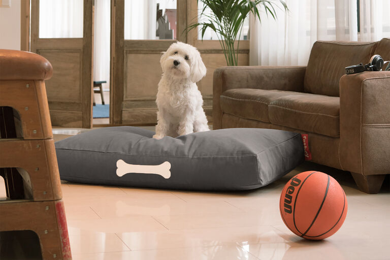 Cuscino grande per cani, Charcoal Grey Fatboy