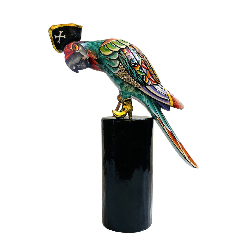 Pappagallo Pirata Capitano Jack S. Tom`s Drag
