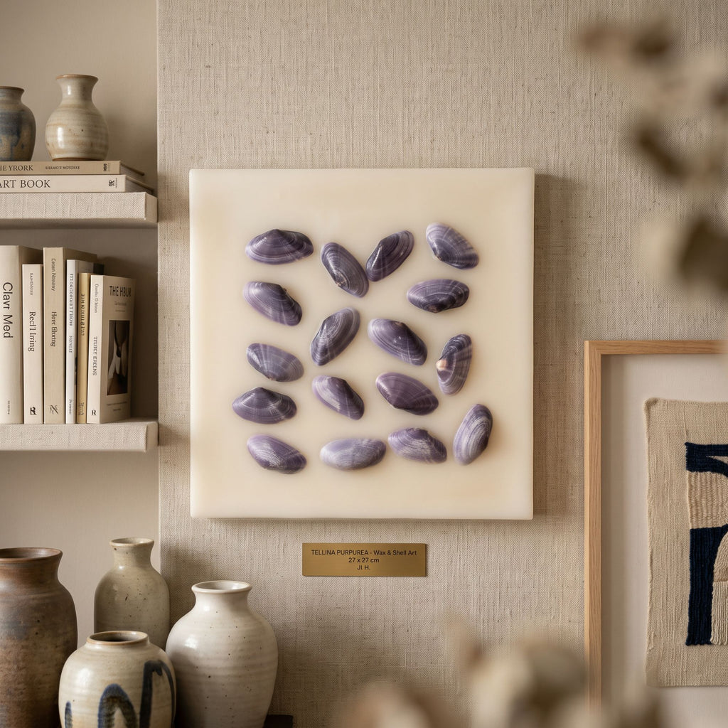 Wax Wall Shells Edg