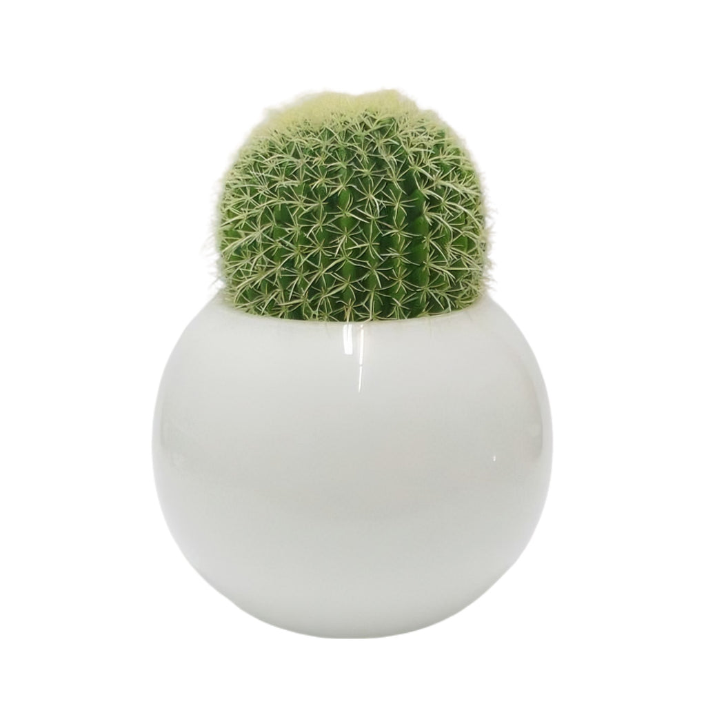 Vaso Sfera Bianca Con Cactus Edg
