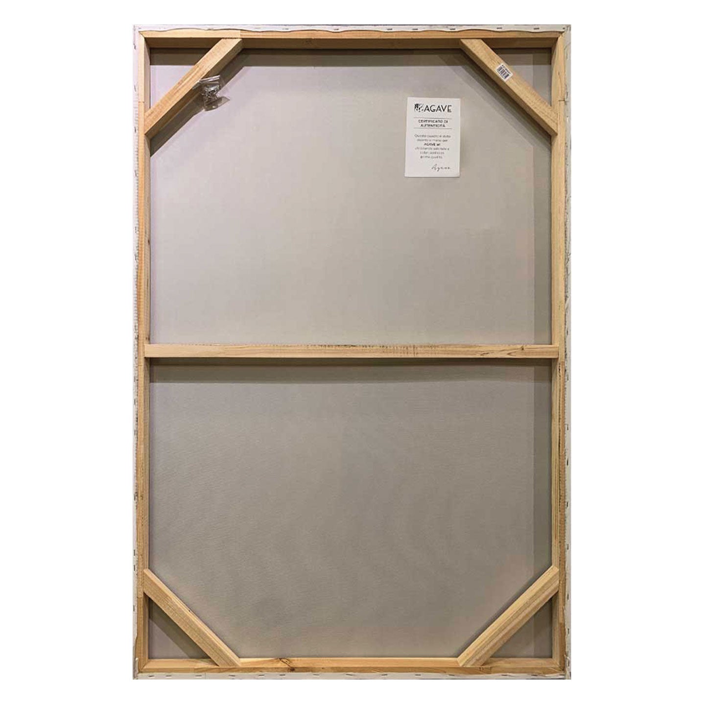 Appearance 80x120 Agave Quadri